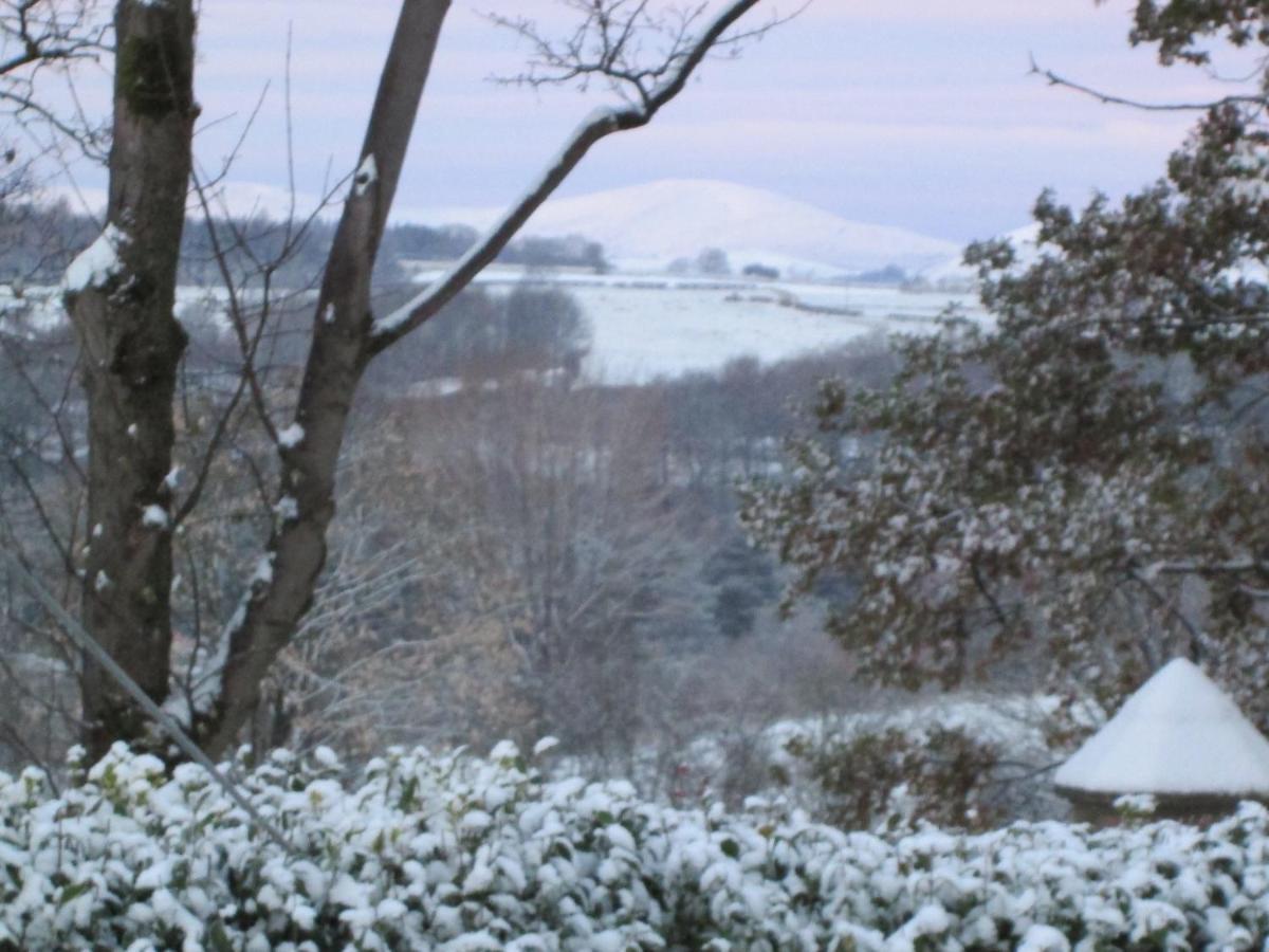 Bed and Breakfast Daleholme Penrith Exteriér fotografie